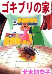 Gokiburi no ie